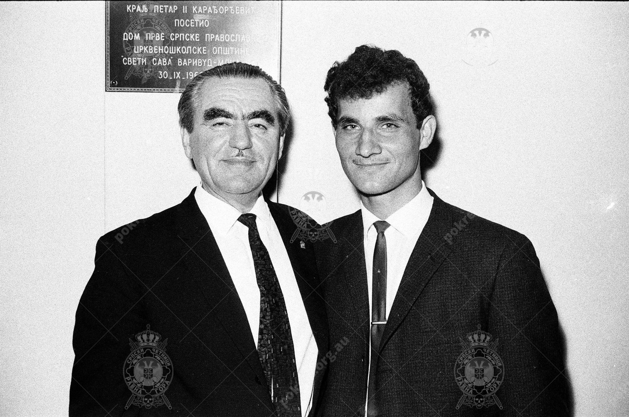 000000050017 000000050017