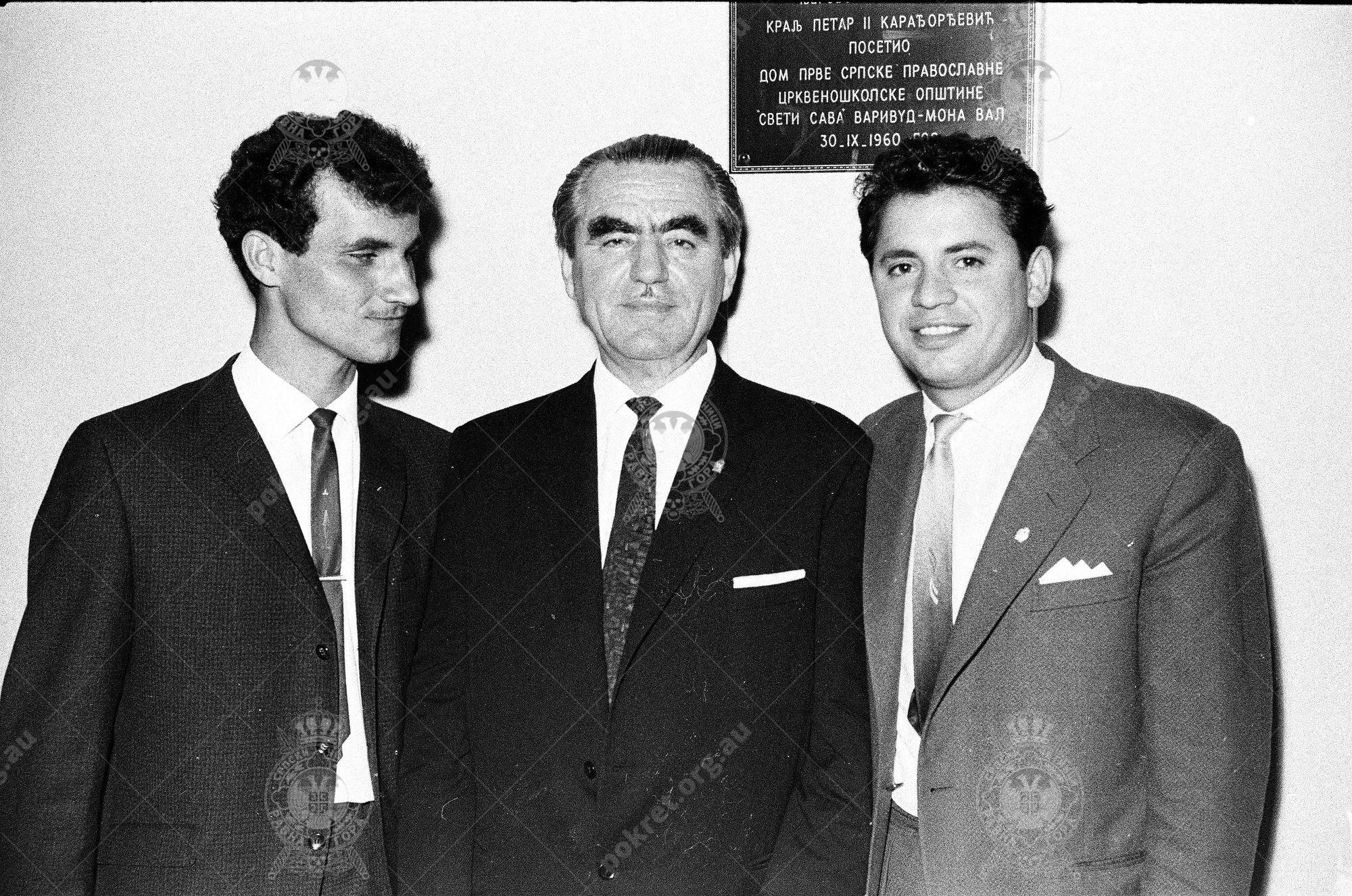 000000050026 000000050026