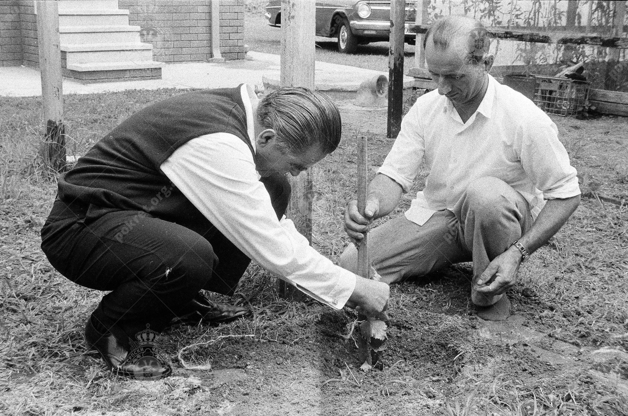 000000070023 000000070023