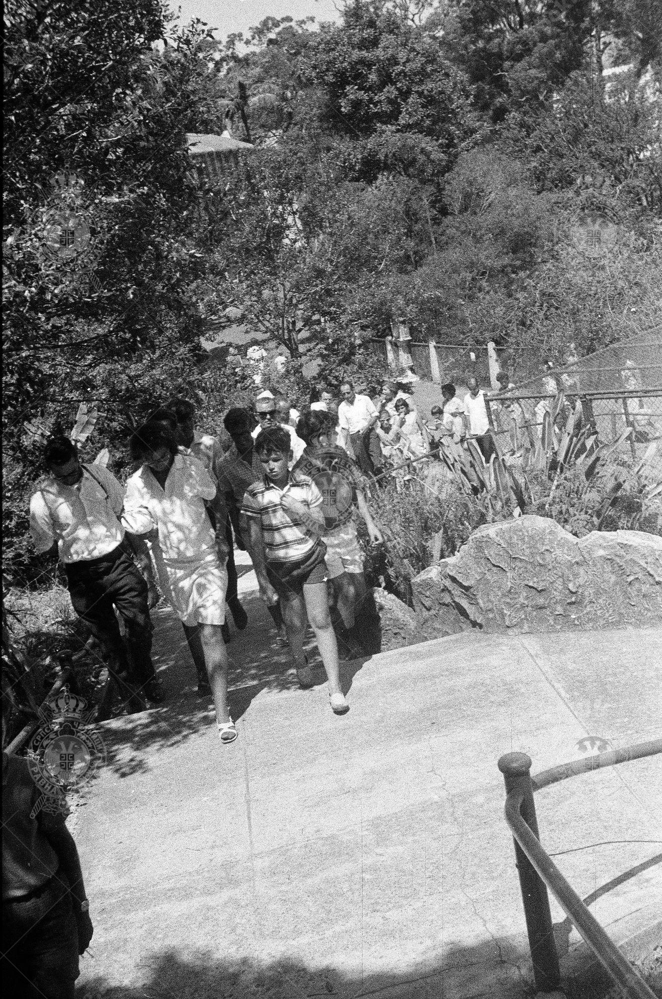 000000090016 000000090016