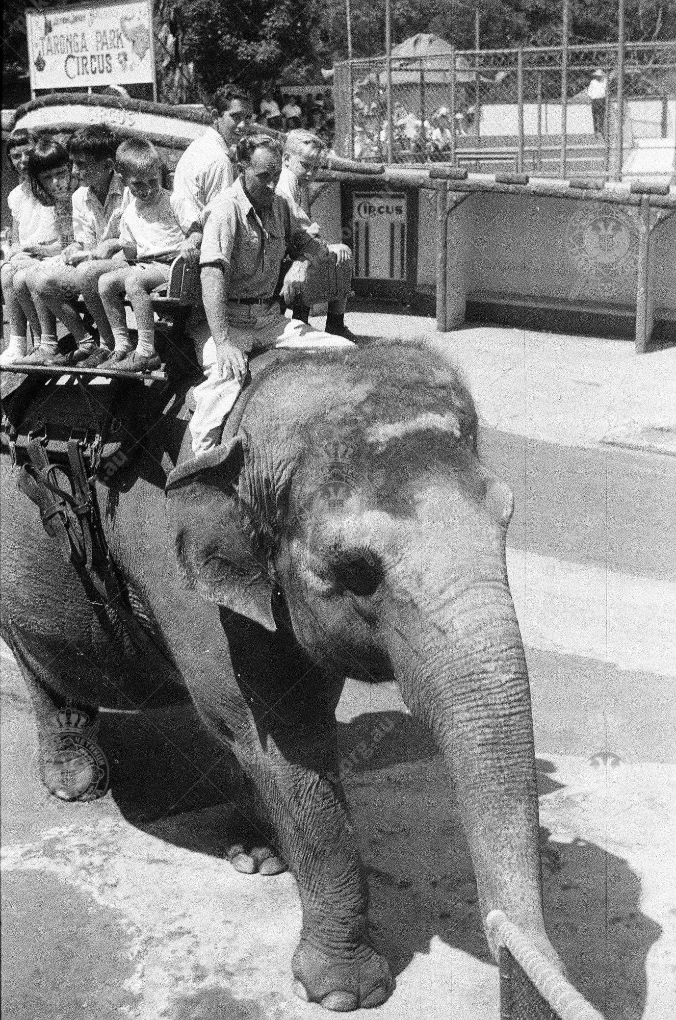 000000090017 000000090017