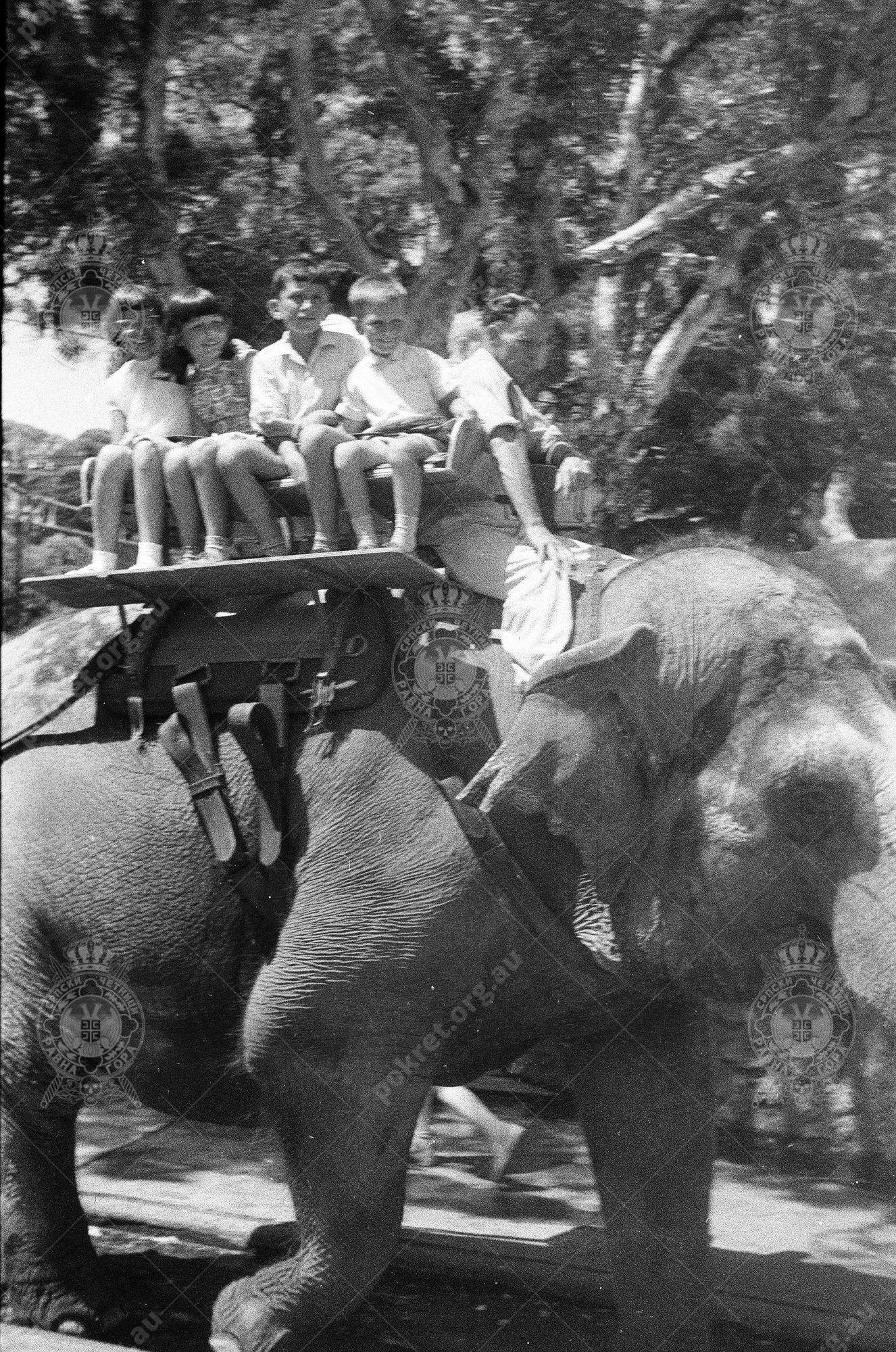 000000090018 000000090018