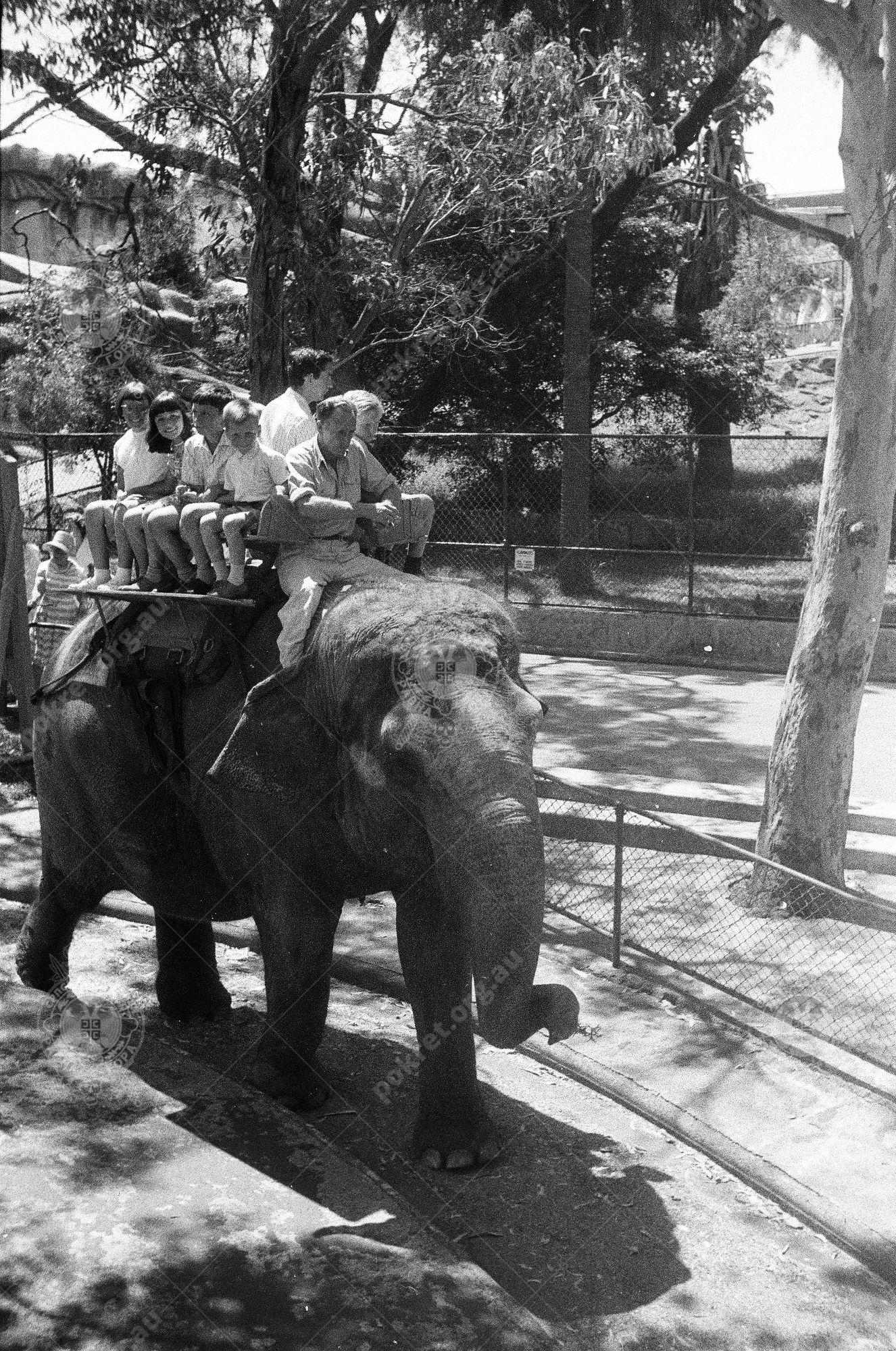 000000090019 000000090019