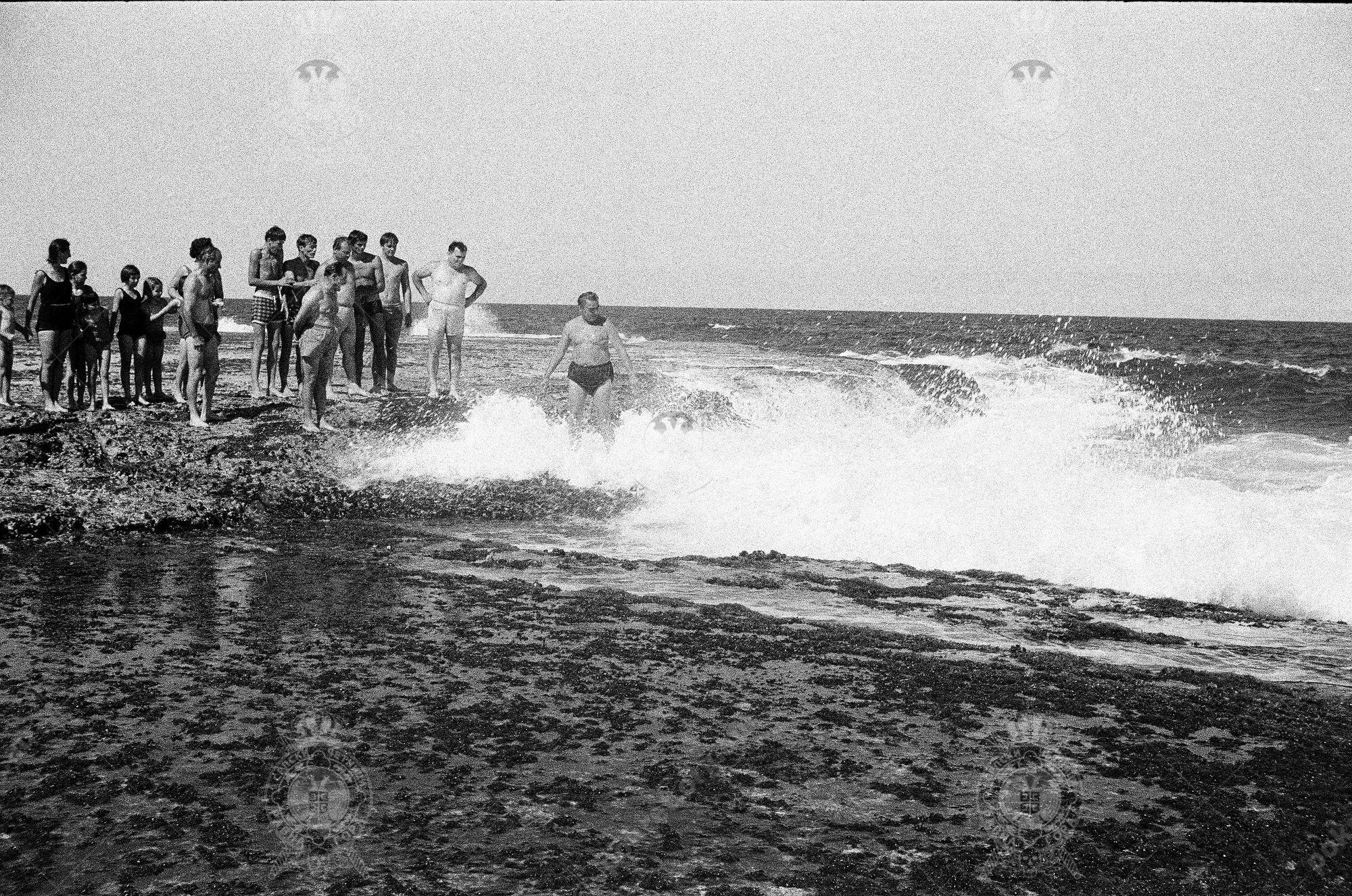 000000110007 000000110007