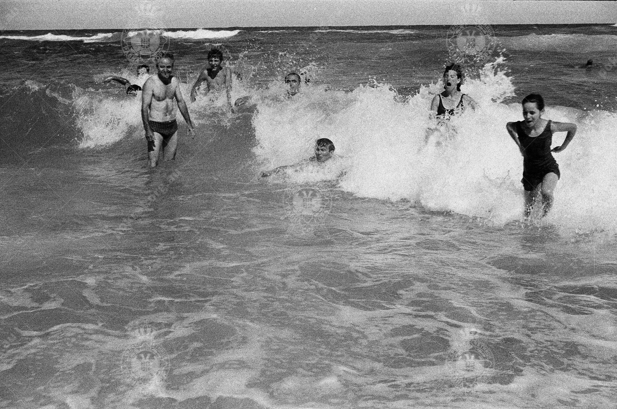 000000110009 000000110009