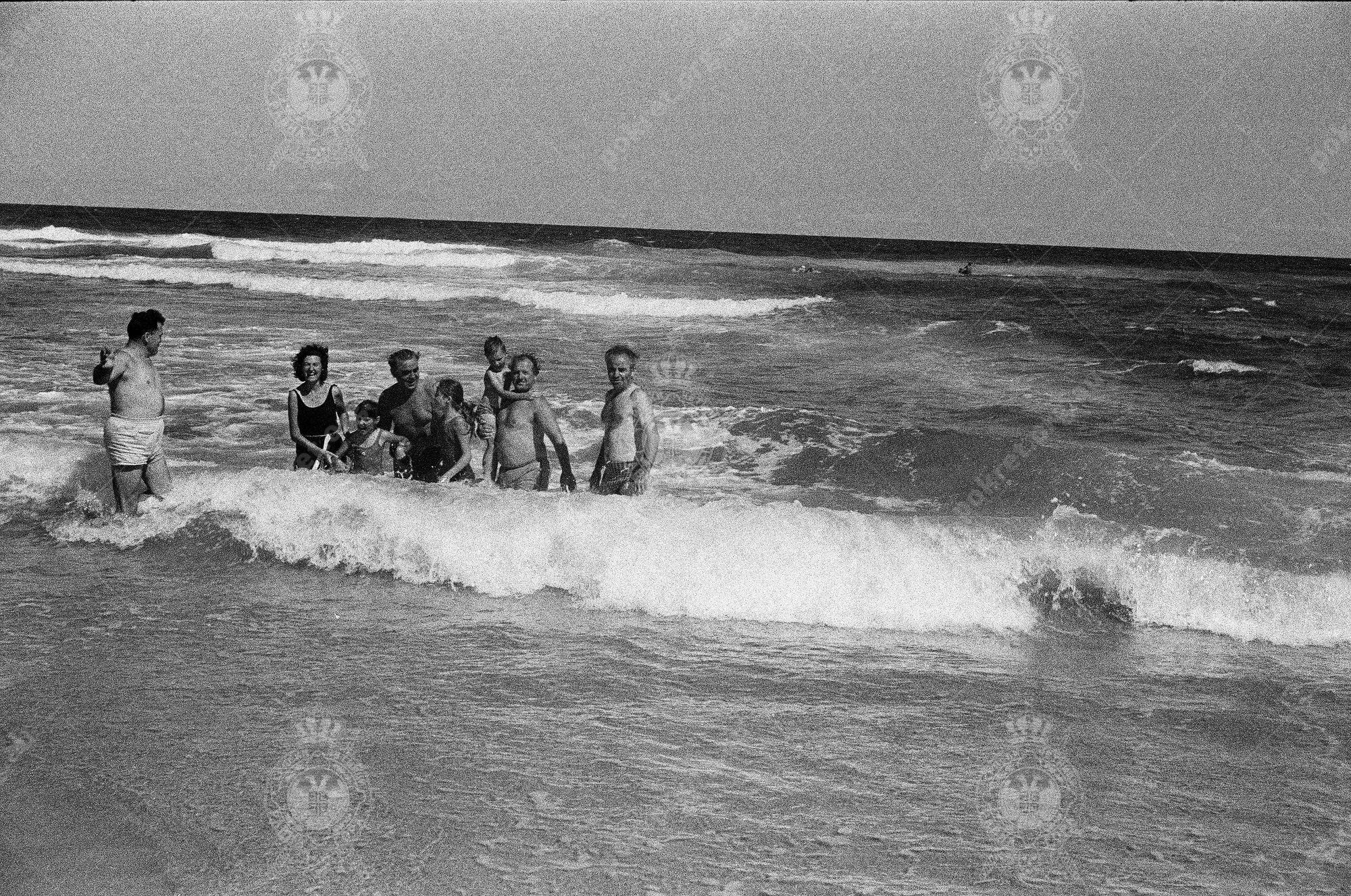 000000110017 000000110017