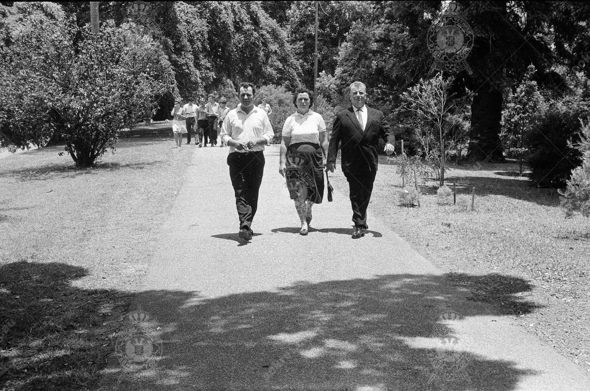 000000150010 000000150010