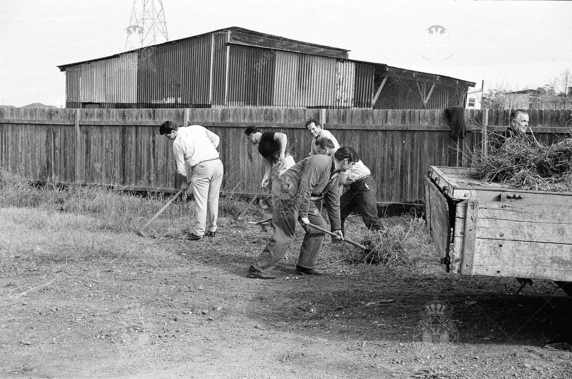 000000180004 000000180004