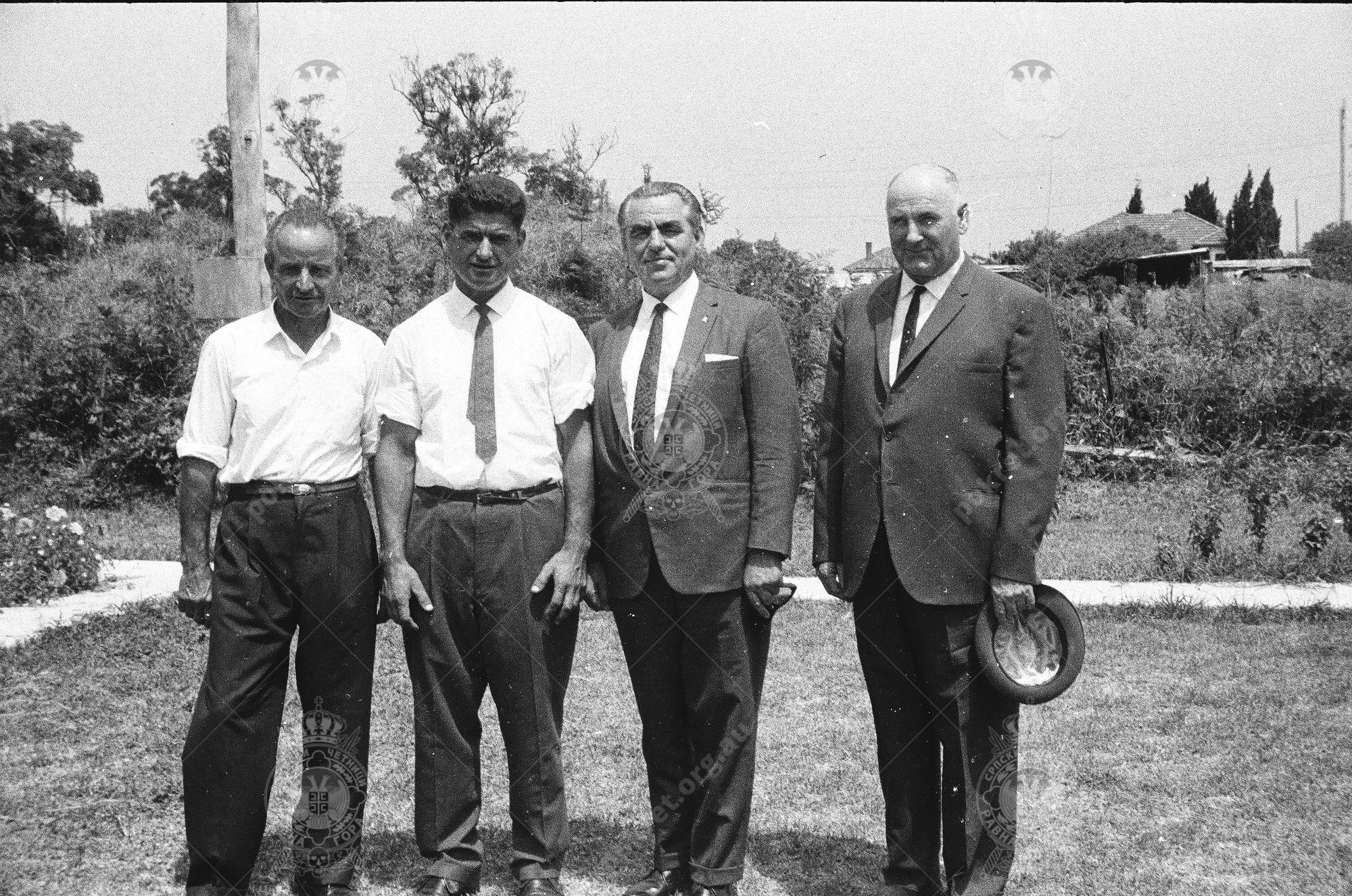 Mona Vale - Family 2.6 Mona Vale - Family 2.6